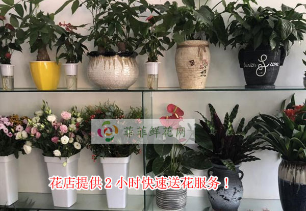 湘潭花店提供湘潭2小时快速送花服务